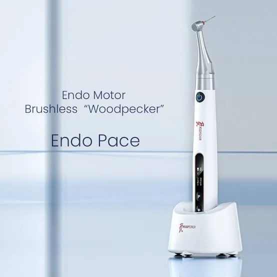 ENDOMOTOR ENDOPACE WOODPECKER